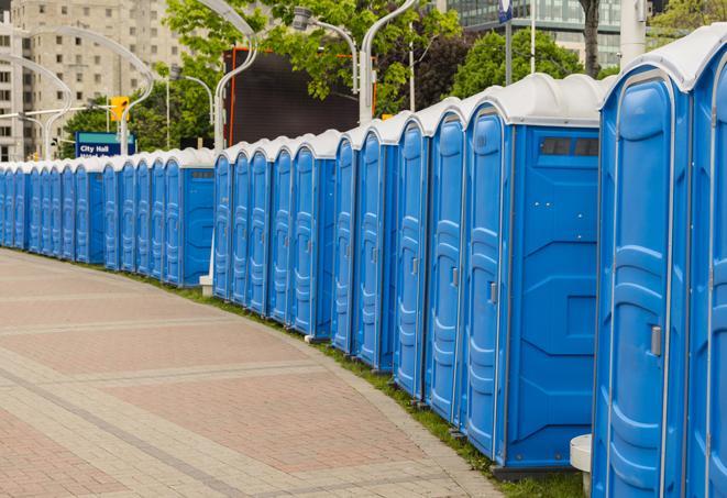 portable restrooms with sink and hand sanitizer stations, available at a festival in Ferndale, MI